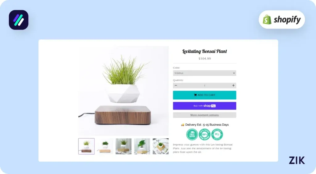 Levitating Bonsai Plant Top Selling