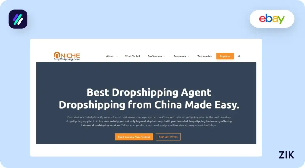 niche dropshipping chinese dropshipping supplier