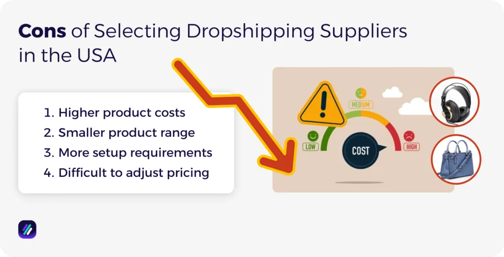 Cons of Selecting Dropshipping Suppliers in the USA
