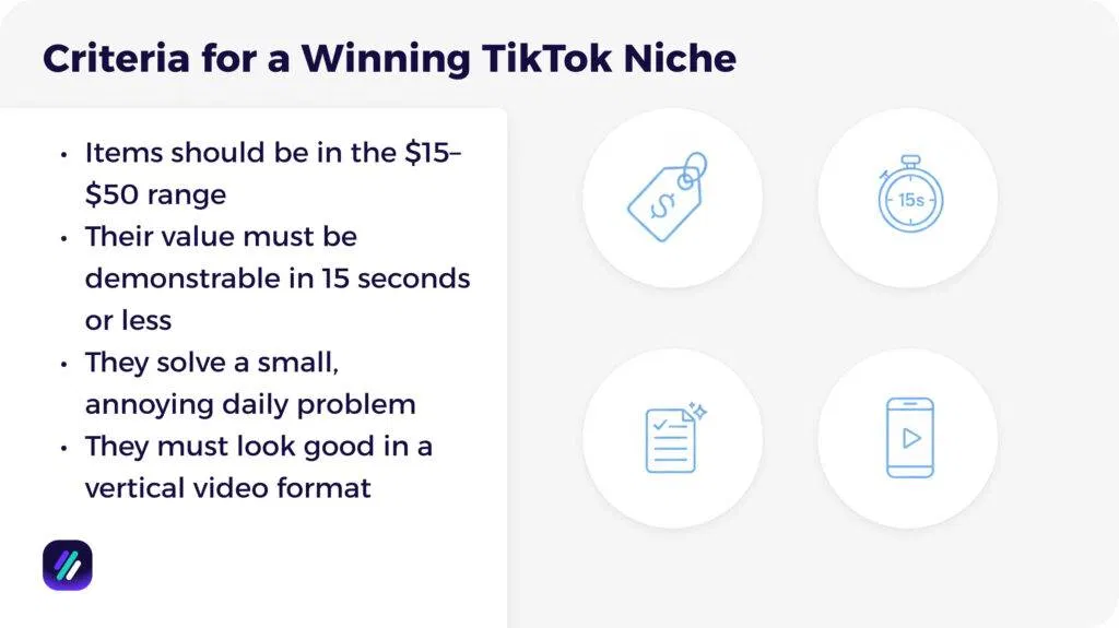 Criteria for a Winning TikTok Niche
