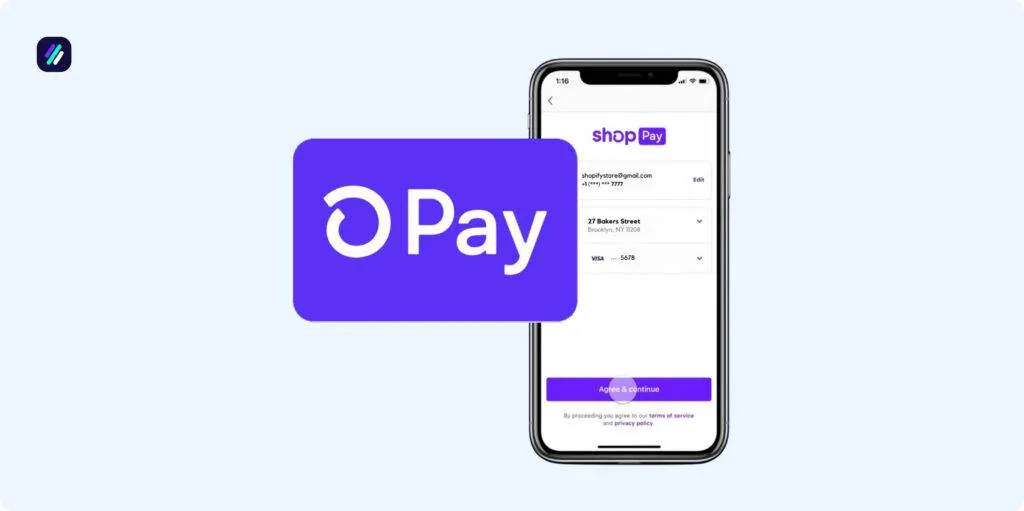 Shopify statistics payment