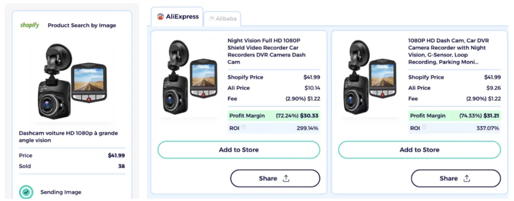 best dropshipping niches car accessories