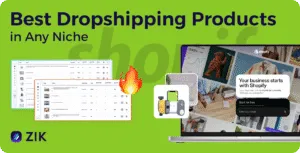 best dropshipping products