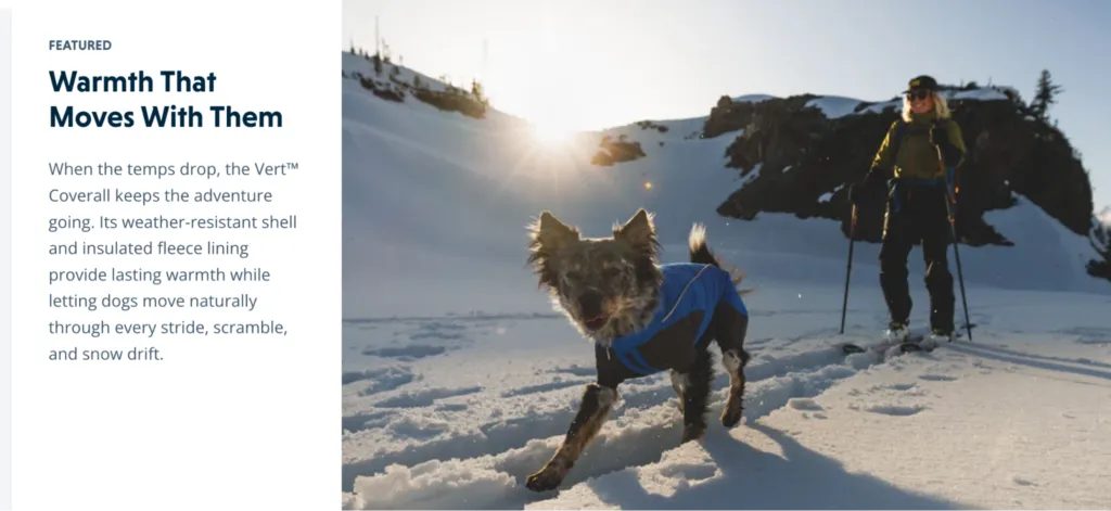 browsing other pet websites for product inspiration